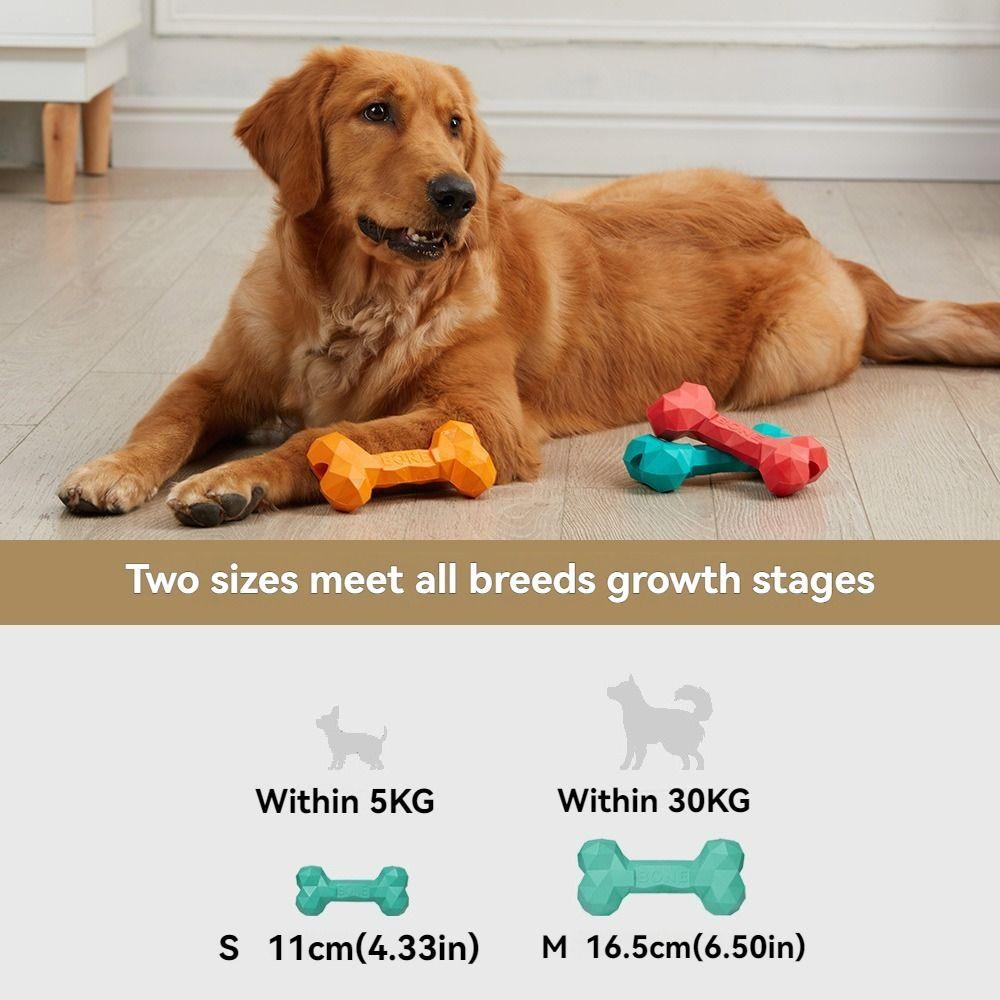 Rubber  Shaped Bone Toys Bite-resistant Pet Chew Toy Pet Leaky Food Bone Toy  Gift