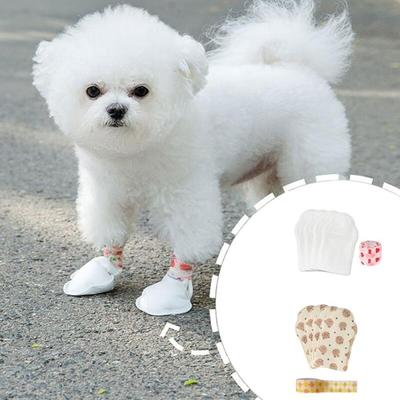 20 Disposable Dog Walking Shoes
