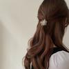 Korean style Small Versatile hairpin Hair accessories Acetic acid Hair Claw Flower grab clip