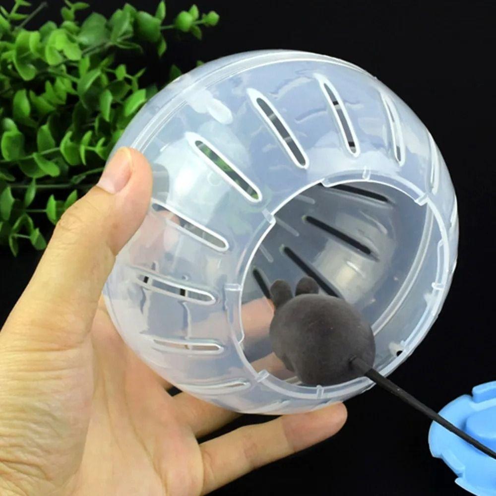 Pet Outdoor Sport Ball Plastic Toy New Grounder