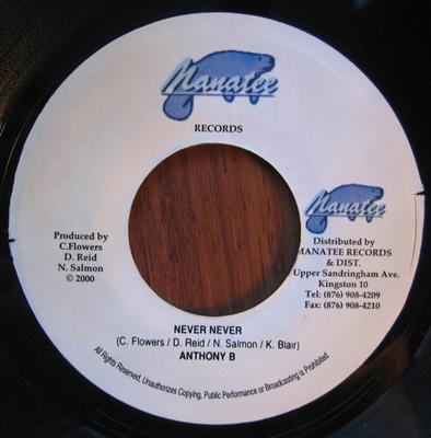 7-Zoll-Schallplatte ANTHONY B - Never Never NONE Manatee Records 2000 Jamaika Reggae, Ska & Dub Gebraucht