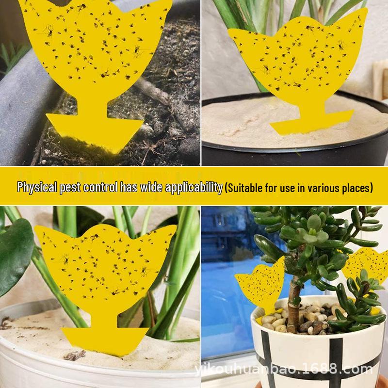 

Double-Sided Yellow Sticky Insect Trap Board - Irregular Fly Trap Sticker Full Glue Tulip