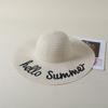 Summer sun hat, seaside travel wide debate women's big edge hat, simple foldable beach hat