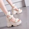 Fairy Wind Sandals Female 2025 Summer New Popular Small Wedge Heel Thick Sole Inner Height Increase Dad Sports Sandals