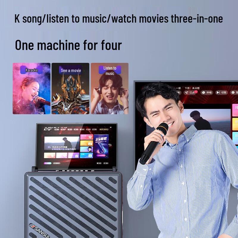 SANSUI C3 All-in-One Professional KTV Karaoke Speaker System