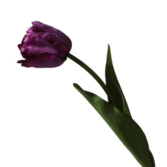 Искусственные цветы тюльпанов, ощущение как настоящие, букет тюльпанов на длинной ножке с листьями, для свадебного букета, весенняя цветочная композиция, декор для домашней настольной вазы