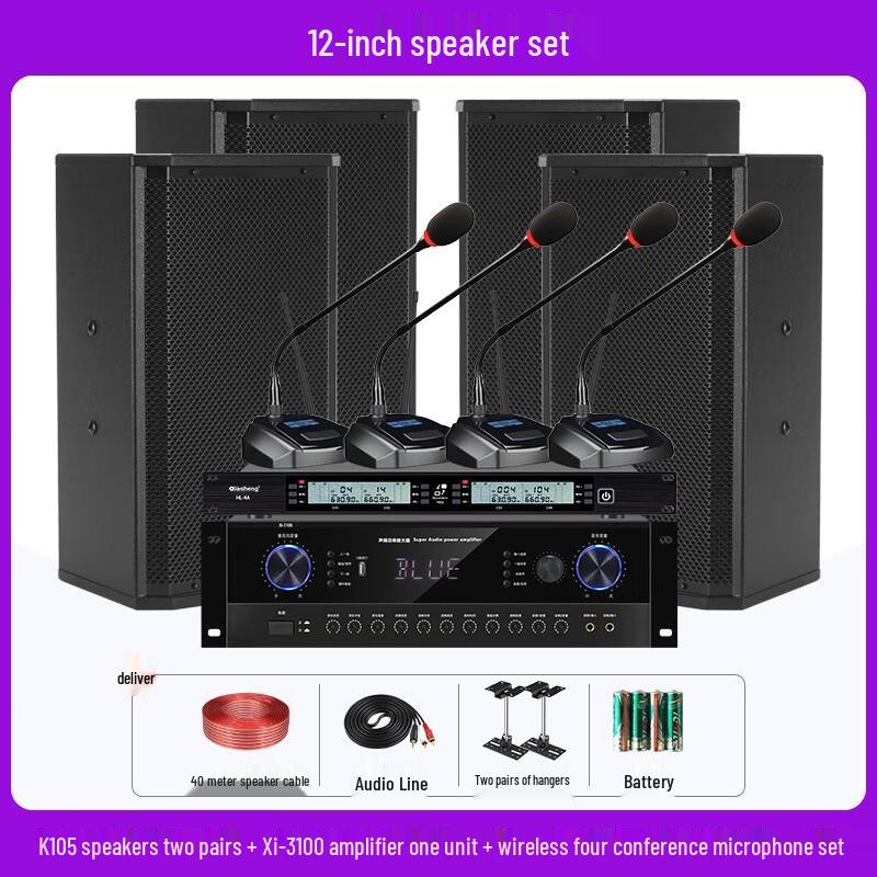 QIASHENG Professional Conference Room & Stage Audio System CN plug (adapter included)