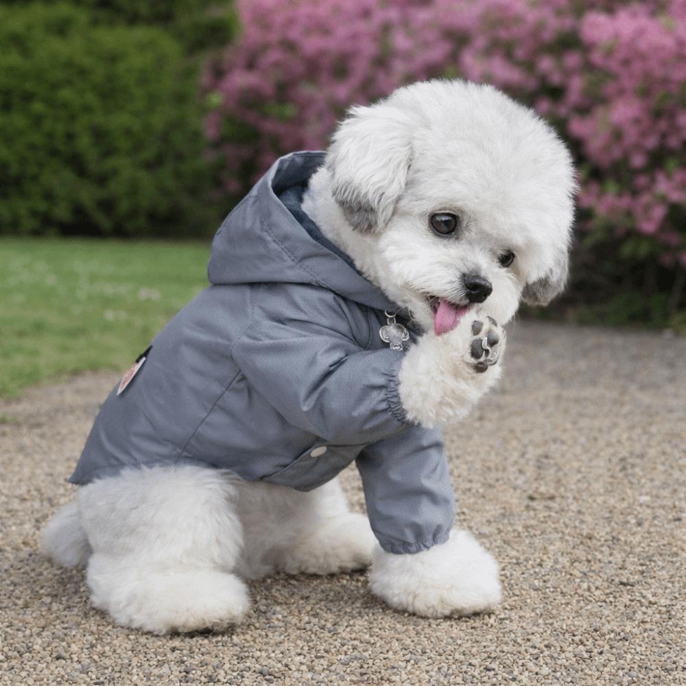Fast Drying Pet Sun Protection Clothing Adjustable Breathable Dog Cooling Coat Lightweight Dog Casual Outerwear Spring Summer