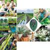 Premium Three In One Soil Tester For Accurate Ph Light Humidity Measurement