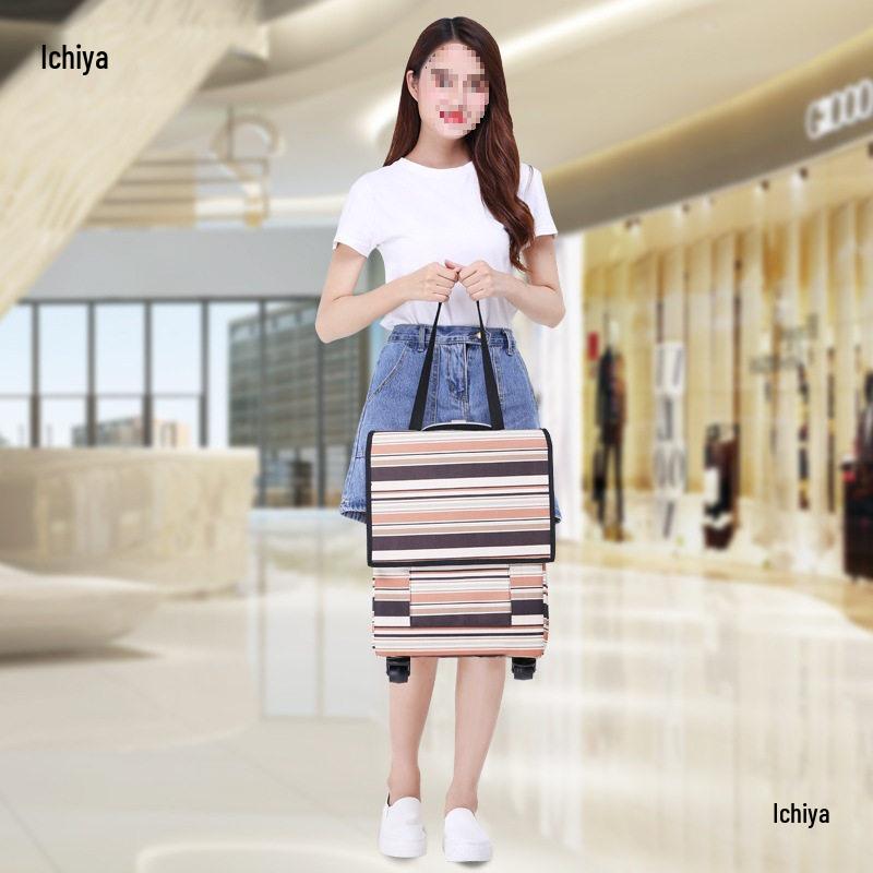 Portable Folding Trolley Bag: Telescopic Shopping, Storage & Luggage Cart