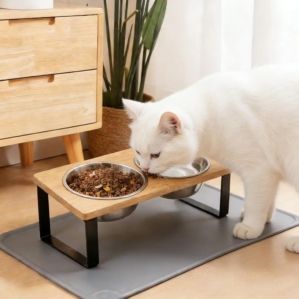 Elevated Cat Bowls Pet Feeder 15° Tilted Raised Cat Food Bowls with Wooden Stand 2 Stainless Steel Bowls for Cats