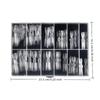 150Pcs French Dual Forms 2In1 Nail Molds With Scale Double-Ended Full Cover Nail Extension Building Gel Mold Nail Forms Nail Art