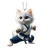 Kung Fu Cat Hanging Decoration Home Indoor Christmas Tree Car Rearview Mirror 2D Flat Acrylic Kitten Hanging Ornament Ca… More