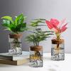 Transparent Hydroponic Flower Holder Thickened Mountain Viewing Bottle Flower Vase  Fish Tank