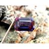 Color Change Natural Alexandrite Emerald Cut CERTIFIED Loose Gemstone