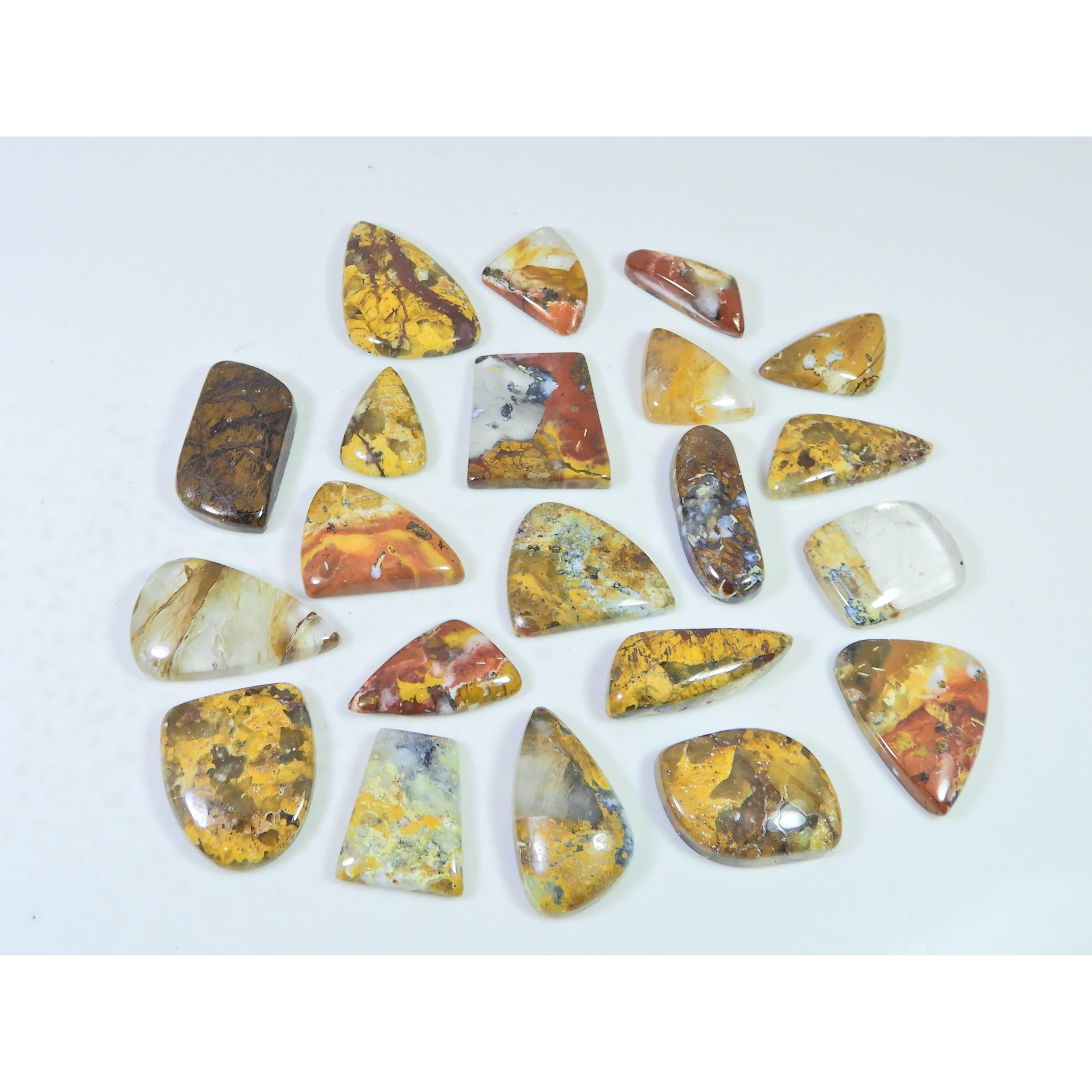 275Cts. Natural Forest Agate Fancy Cabochon Loose Gemstone 21 Pcs Lot C-1951