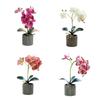 Realistic Artificial Orchid Flower Bonsai 8 Flowers Fake Orchid  Home Garden Decoration