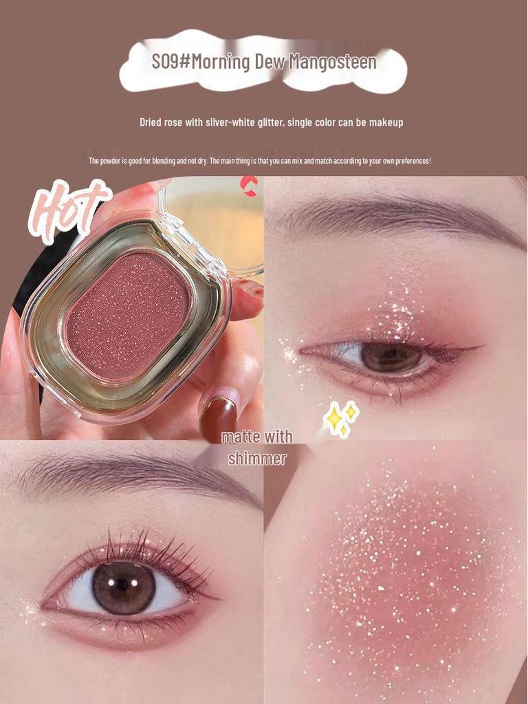 FAICCIA Smoky Pink Single Eyeshadow - Reduces Puffiness, Sheer Nude Makeup, Macaron Gray Shade #221