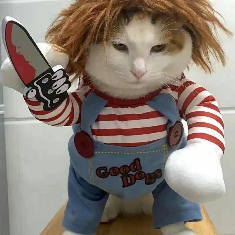 Costum festivă pentru câine: Costum de Crăciun și Halloween cu cuțit pentru câini de talie mică - Stil toamnă/iarnă