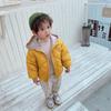 2024 Autumn/Winter Down Cotton Jacket for Toddlers - Boys & Girls Plus Velvet Warm Coat