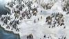 Sacrifice and Snow Setuna Switch -