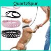 Halsband Hond Leashduurzaam Qunide Met Pu Leer Hondenhalsbanden Voor Bull Met Studs Voor Kleine Middelgrote Grote Hond