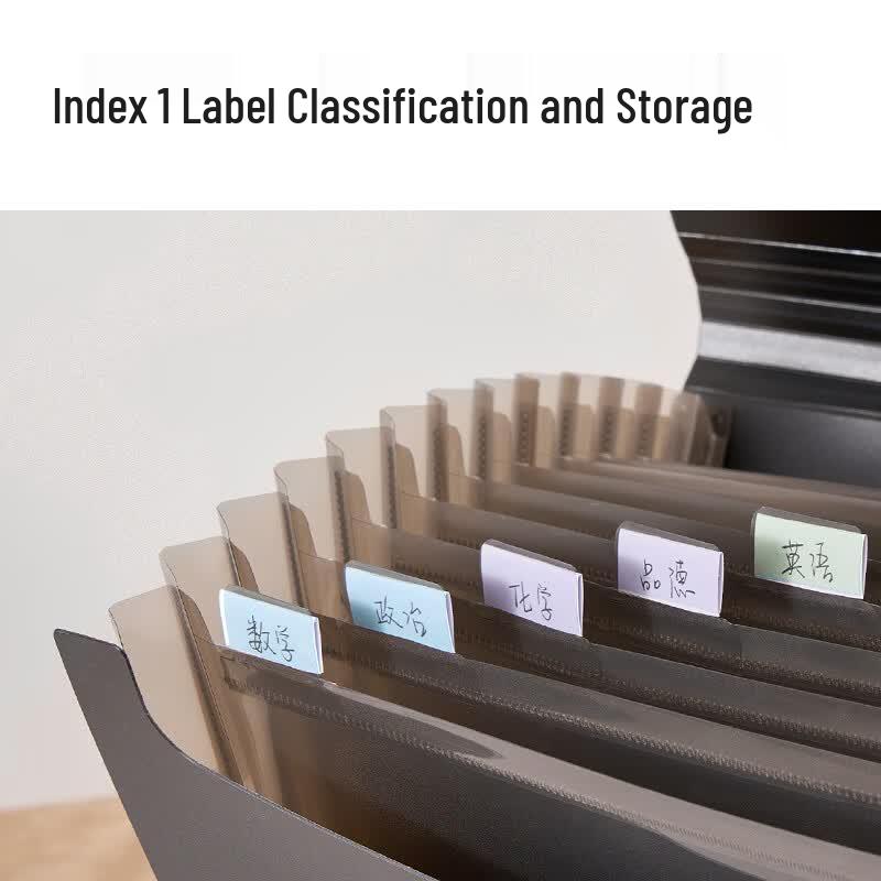 Deli A4 Accordion File Bag