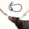 Polyester Fiber Dog Training Leash with Adjustable Slip Collar - Durable Choke Loop for Behavioral Training, Non-Asphyxiation Co