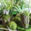 Forest Style Artificial Tree Stump with Moss Bark - Kindergarten and Country Style Decorative Ornament, Perfect for Landscaping or Inserting Flowers.