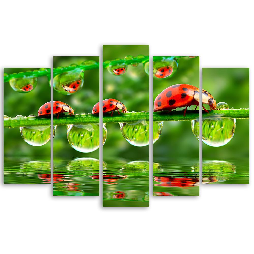 Five Piece Picture Canvas Print Ladybird Grass Drop