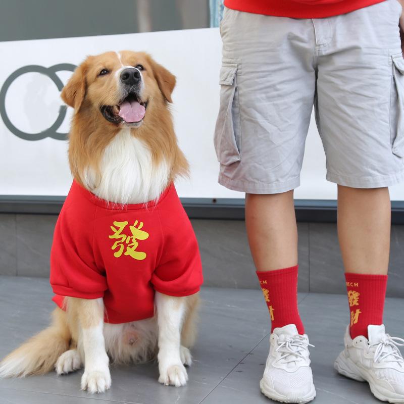 Golden Retriever Small Medium and Large Dog Dress Dog Cat Autumn and Winter Gong Xi Fa Cai Pet Two-legged Clothing Supplies