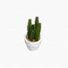 12-Piece Mini Cactus Assortment Set, Faux Greenery, Perfect for Home Decor, Desks, Kitchen Counters, and Store Decor. Perfect for Everlasting Plants.