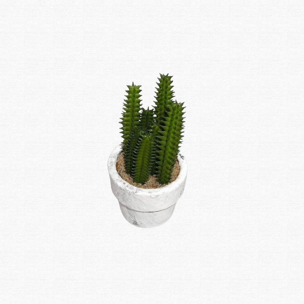 12-Piece Mini Cactus Assortment Set, Faux Greenery, Perfect for Home Decor, Desks, Kitchen Counters, and Store Decor. Perfect for Everlasting Plants.