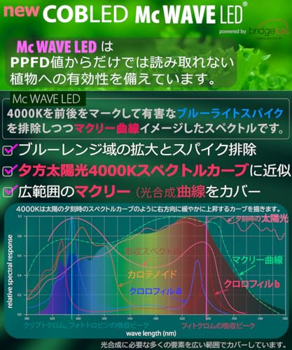 HaruDesign HASU38 spec9 4K Plant Grow Light with Black Swirl Body, Warm White (4000K), McWave LED, Wide-Angle Reflector, Full Spectrum, Flicker-Free,