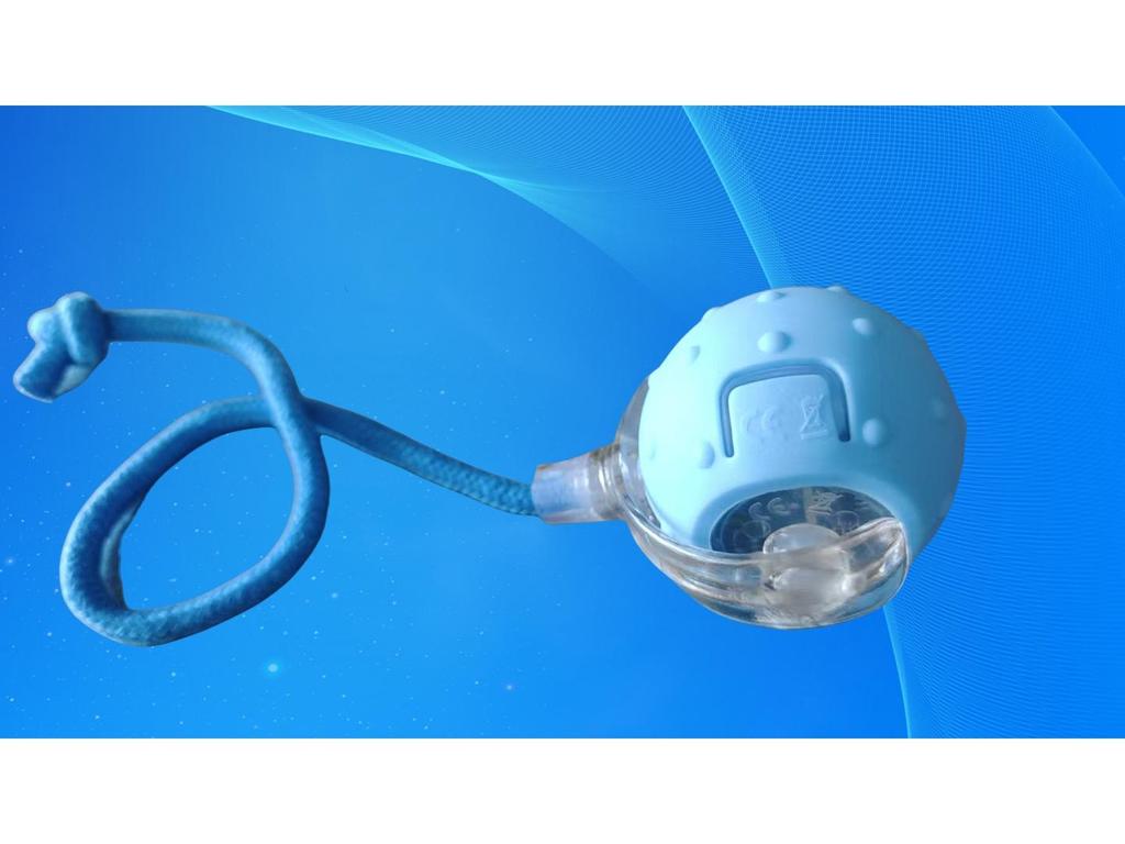 Smart Rolling Ball: Electric Dog Teething Toy & Bite-Resistant Teaser for Boredom Relief