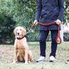 Dog Leash Heavy Duty Thickened Bite Resistant Nylon Pet Traction Leash for Medium Dog Walking