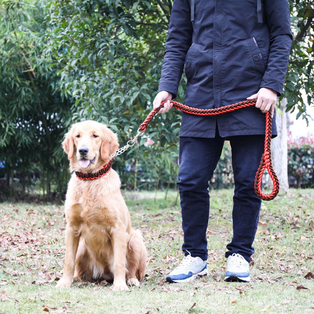Dog Leash Heavy Duty Thickened Bite Resistant Nylon Pet Traction Leash for Medium Dog Walking