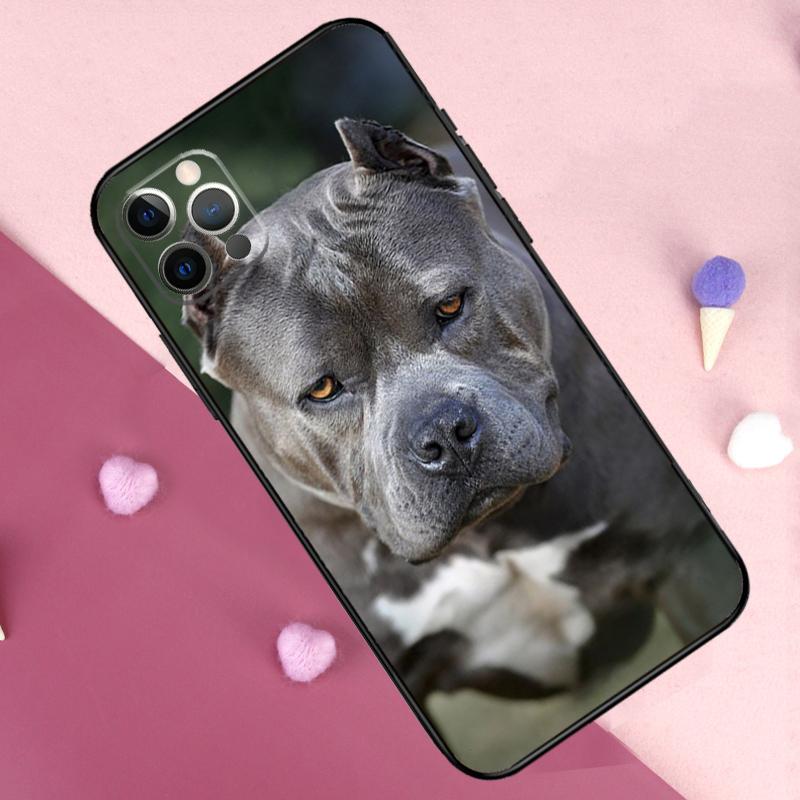 Pit Bull Pitbull Dog Phone Case For iPhone 13 14 15 16 Pro Max Plus 11 12 Pro Max 7 8 X XS XR 12 13 Mini Cover