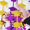 Yousheng Graduation Cap Rain Curtain 2025 Graduation Season Photo Booth Backdrop Tassel Curtain Congrats Grad Party Decorations