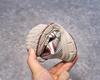 Children's Non-Slip Mesh Sports Shoes - Spring & Autumn 2025 Collection 