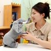 Drop Shipping Soft Elephant Plush Large Elephant Toys Stuffed Animals Plush Toys Friend Plush Doll Infant Toys Birthday Gift