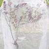 Fruit Tree Pest Control Net Bird Proof Cover Bag Zippered Blueberries Balcony Tomatoes Fruit Fly Mosquito Control Transparent