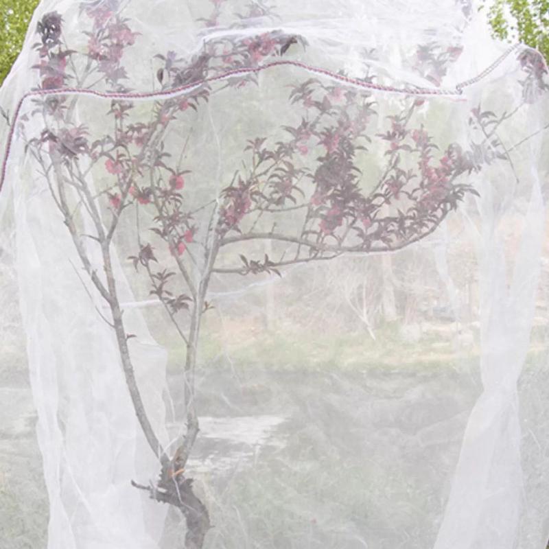Fruit Tree Pest Control Net Bird Proof Cover Bag Zippered Blueberries Balcony Tomatoes Fruit Fly Mosquito Control Transparent