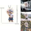 Adorable Acrylic Cat Car Hanging Decoration For Home And Backpack Accessories