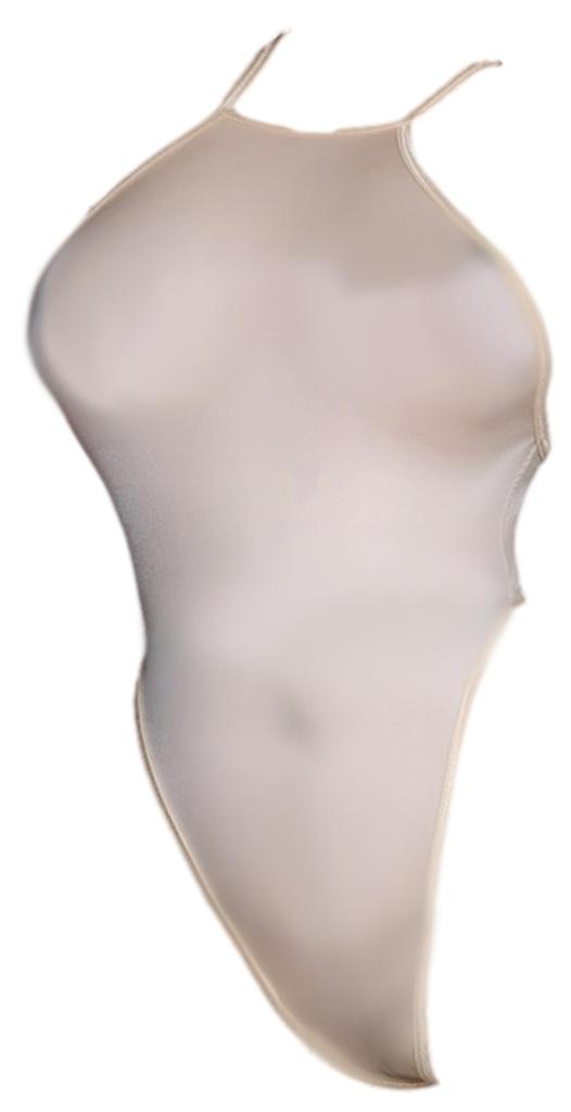 Sexy High Thin Competitive School Race Queen [Miracroute] See-through Stockings, Leotard, Leg, Fabric, Women's, T-Back, Erotic, Swimsuit, Swimsuit,