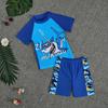 Boys' Cartoon Two-Piece Swimsuit, Summer 2025, Sun Protection, Short-Sleeve, Seaside & Hot Spring Ready