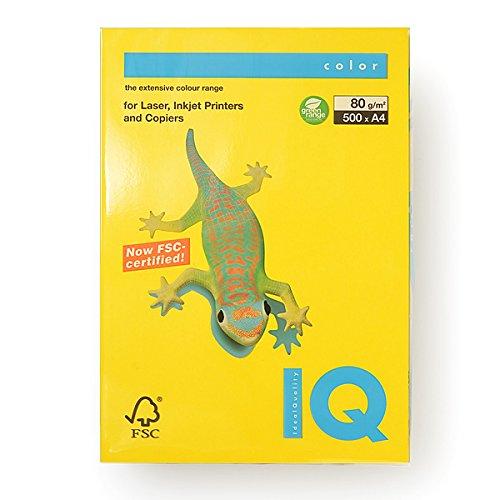 

Bio Top Color Mustard A4/80g 500T