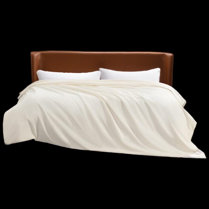 

Mercury Home Textiles Silk Quilt