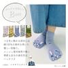 Stream Market Women's Five-Toe Socks, Cute Sneaker Socks, Animal and Character Designs, Bulk Purchase, 5F-SNAS-B