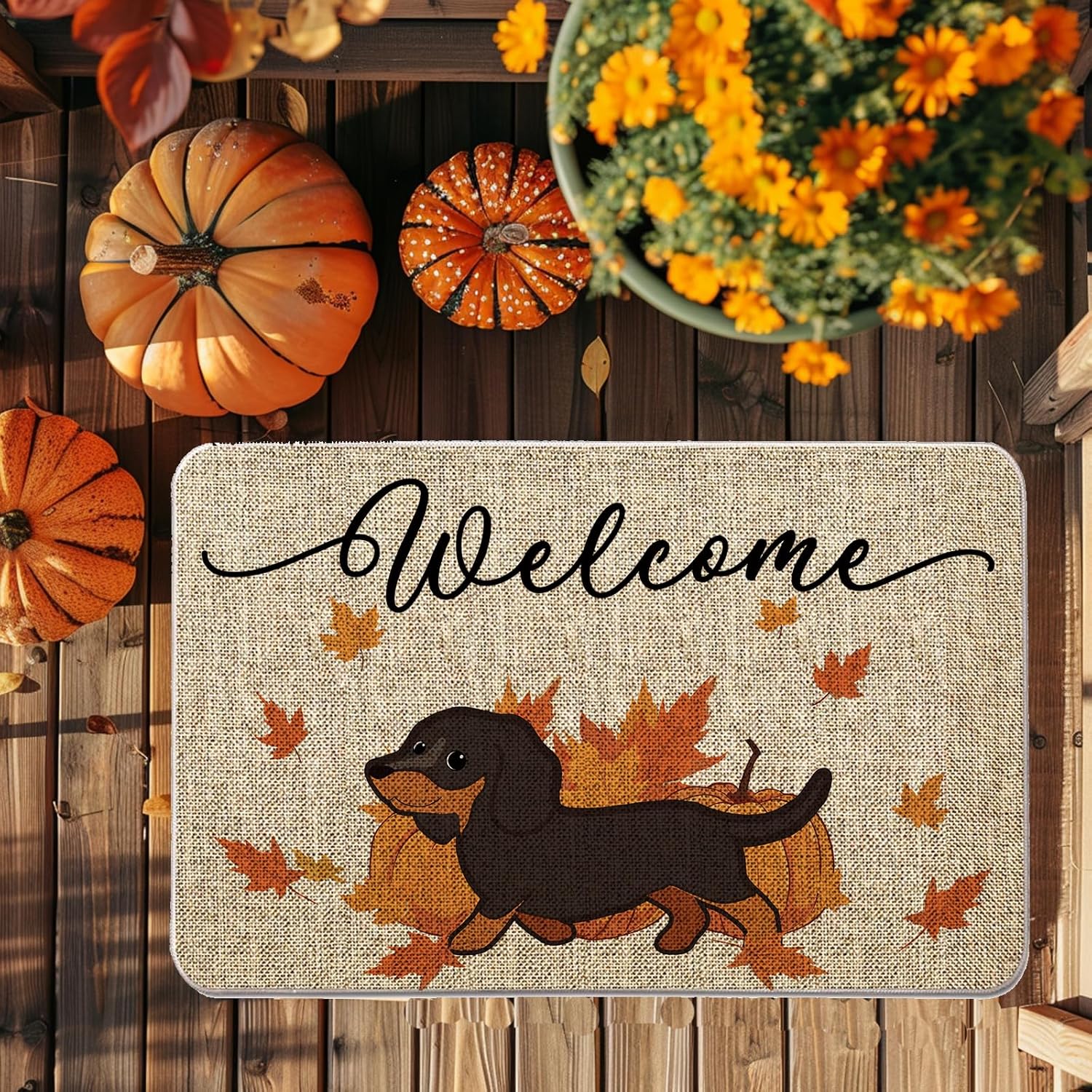 

VIKAMA Autumn Door Mat for Dachshunds Welcome Mat for Kitchen Entry Floor Rug Thanksgiving Kitchen Floor Mat Home Decoration 40x60cm 16x24inch